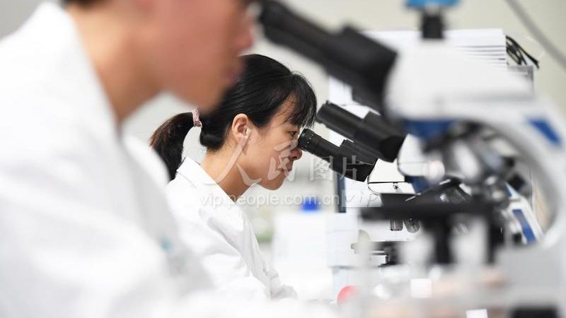 酶含量测定方法：揭秘生物科技领域的精准利器**