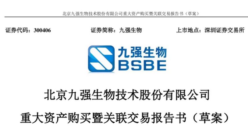 中国CDMO龙头企业合作攻略：揭秘合作共赢之道