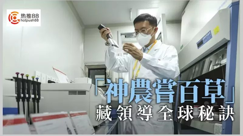 细胞工厂代理合同模板：关键要素与签订须知**