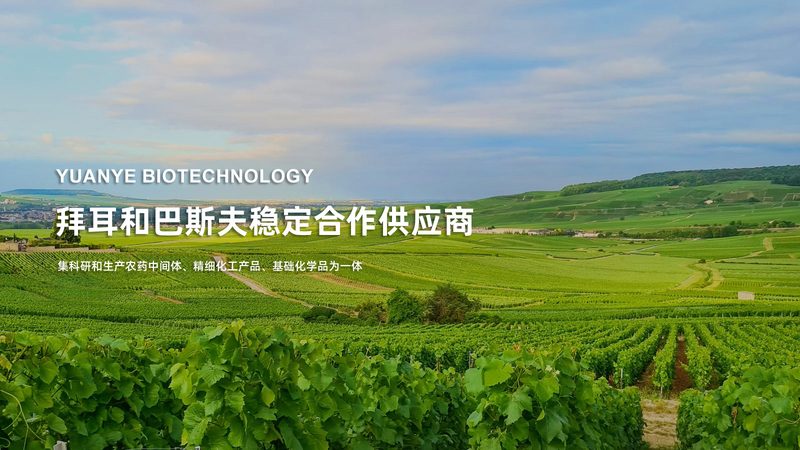 成都包装材料有限公司
