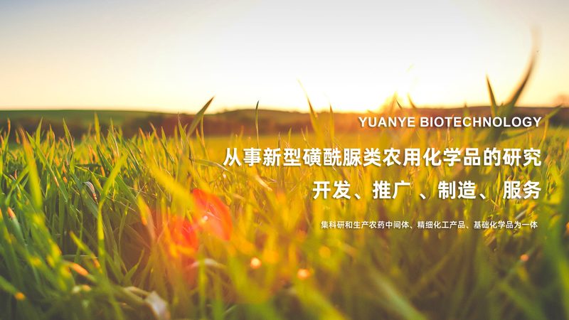 PCR检测标本运输条件：关键要素与注意事项**