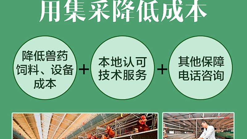 微量离心管：揭秘其标准规格与选择要点