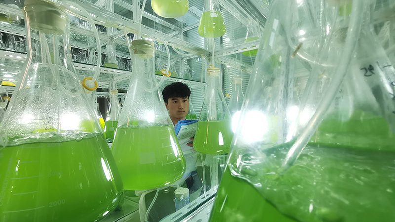 洁净室净化等级：上海生物医药行业的标准解读**